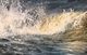 Upsurge, 5x7 by Beth Williams, 1st Place
