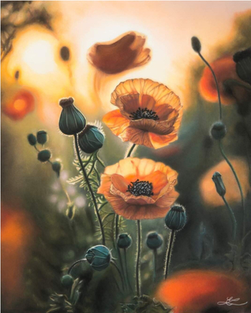 Transparence dorée by Elizabeth LaFlamme