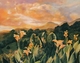 Phyllis Real "Canna Sunset Bliss" 16x20