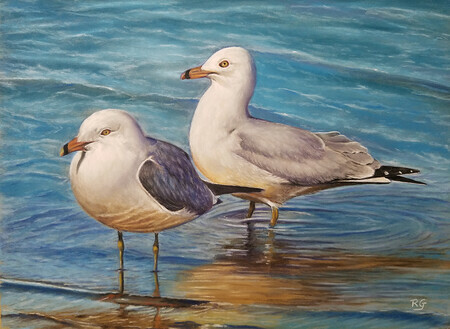 Seagulls Wading on the Shore by Rita Ginsberg